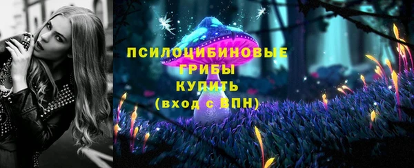 прущий лед Бронницы