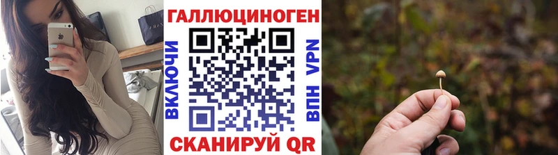купить закладку  Шумиха  Псилоцибиновые грибы Psilocybine cubensis 